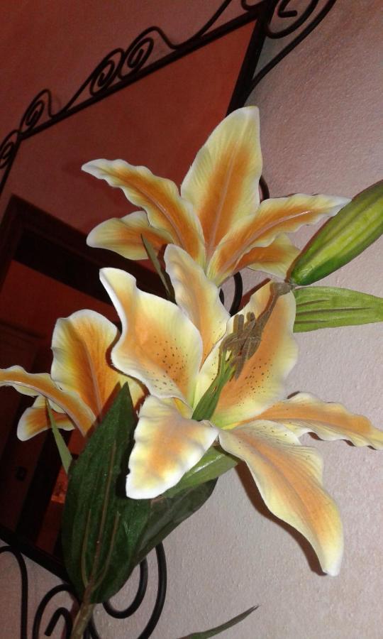 Il Giglio D'Oro Bed & Breakfast Arezzo Luaran gambar